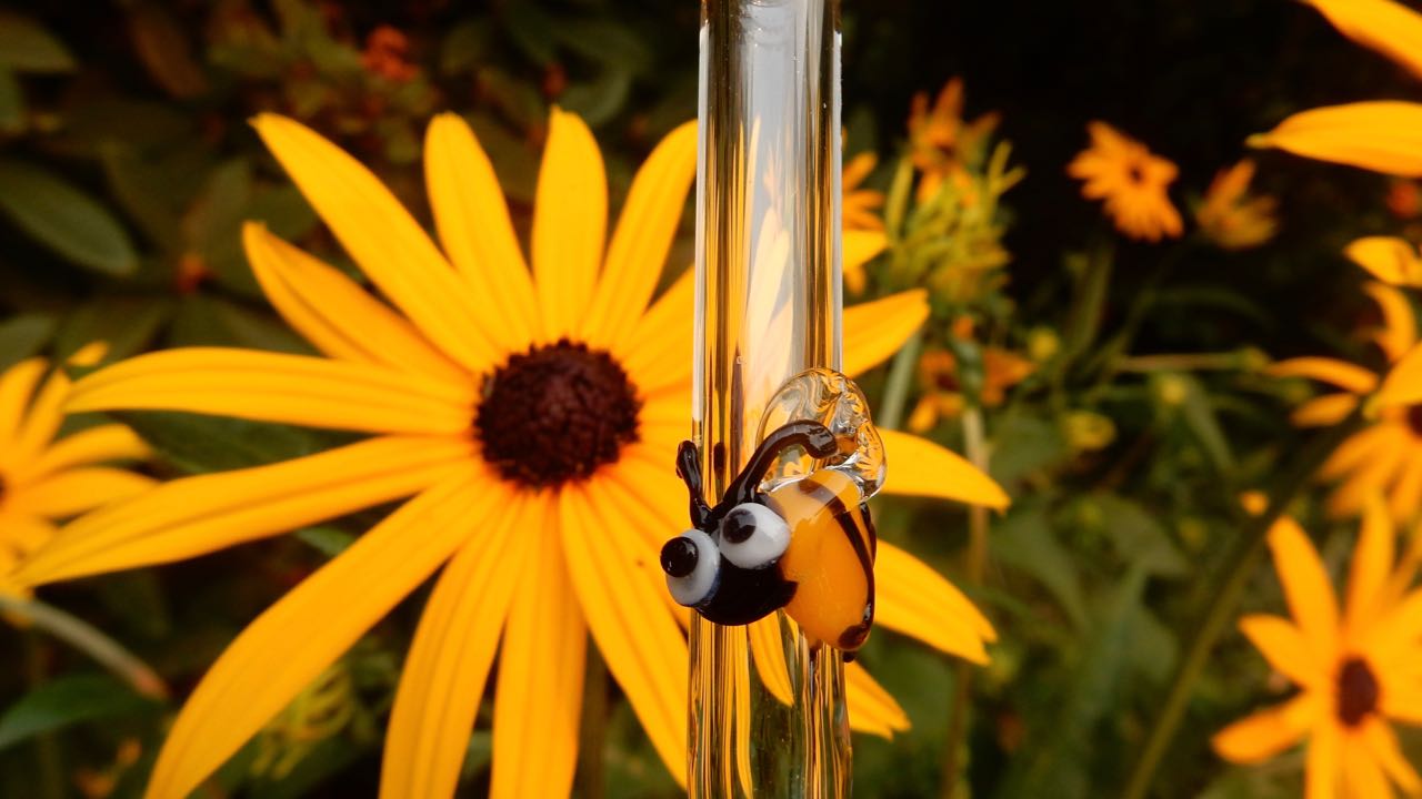 reusable bee straw with flower