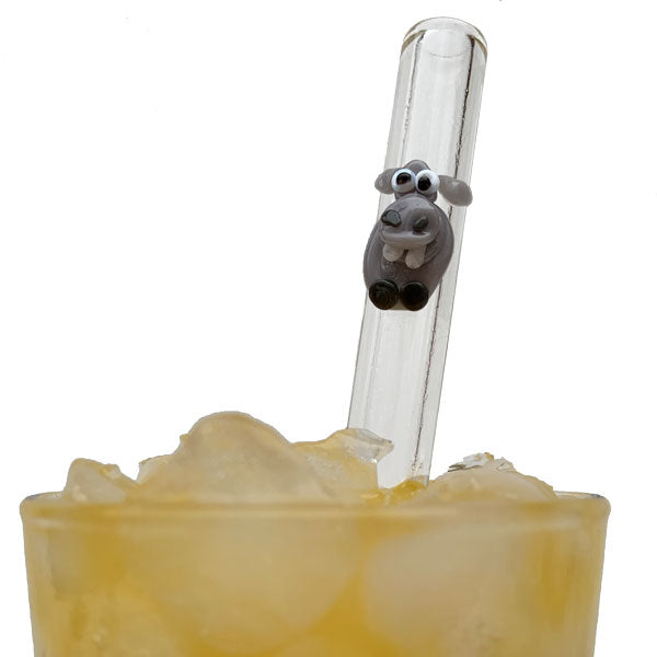 Glass Straws Hippo Reusable Straws - GlassSipper