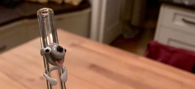 Koalas - Cute As They Come