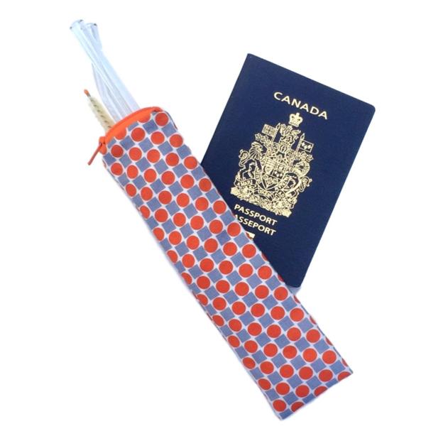 Travel Reusable Glass Drinking Straw Sets - GlassSipper