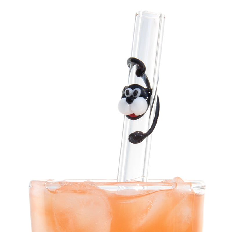 Glass Straws Cat Reusable Glass Drinking Straws - GlassSipper