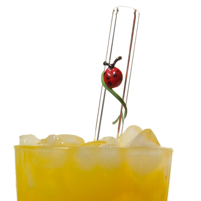 Ladybug Reusable Glass Drinking Straws - GlassSipper