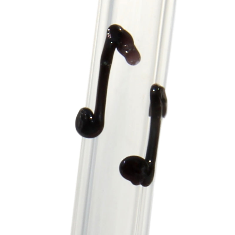 Glass Straws Musical Note Reusable Glass Straws - GlassSipper